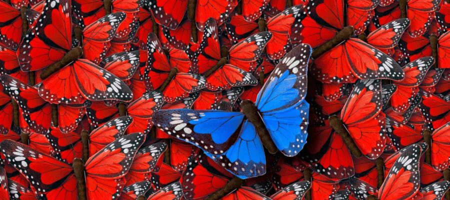 Butterfly Archetype